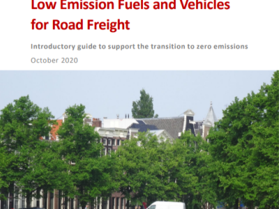 Low Emission Fuels and Vehicles for Road Freight 